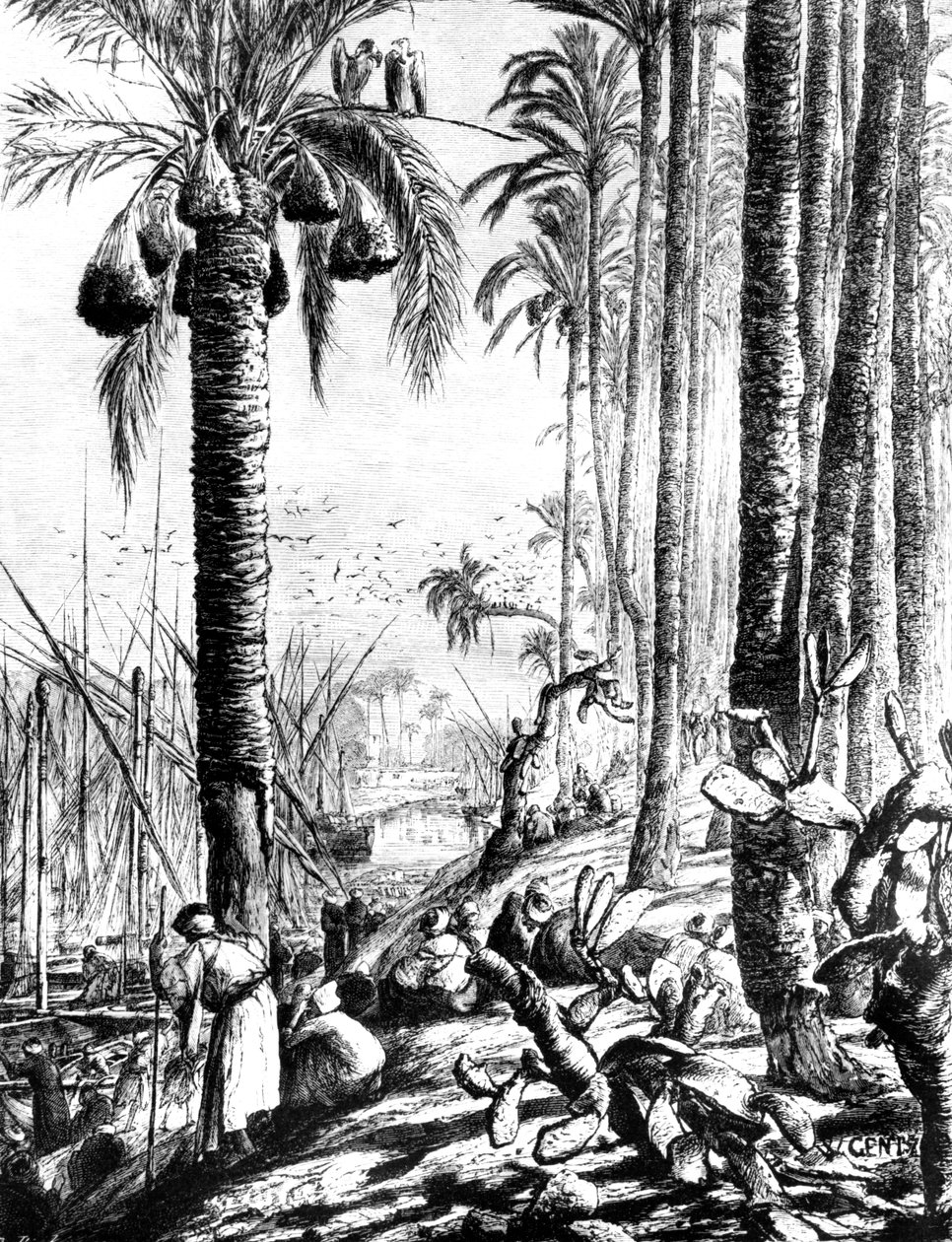 Kanten av kanalen, Mahmoudiyeh, 1880 av Karl Wilhelm Gentz
