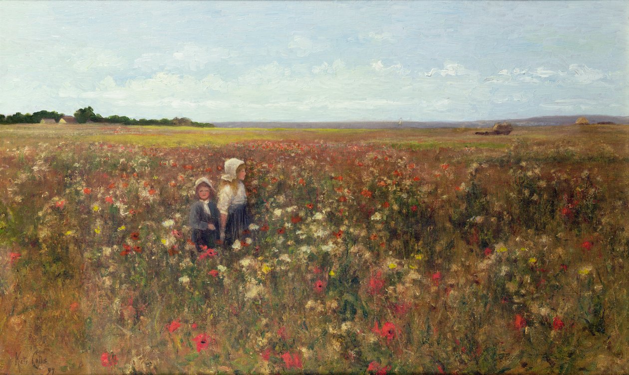 The Poppyfield, 1897 av Kate Colls