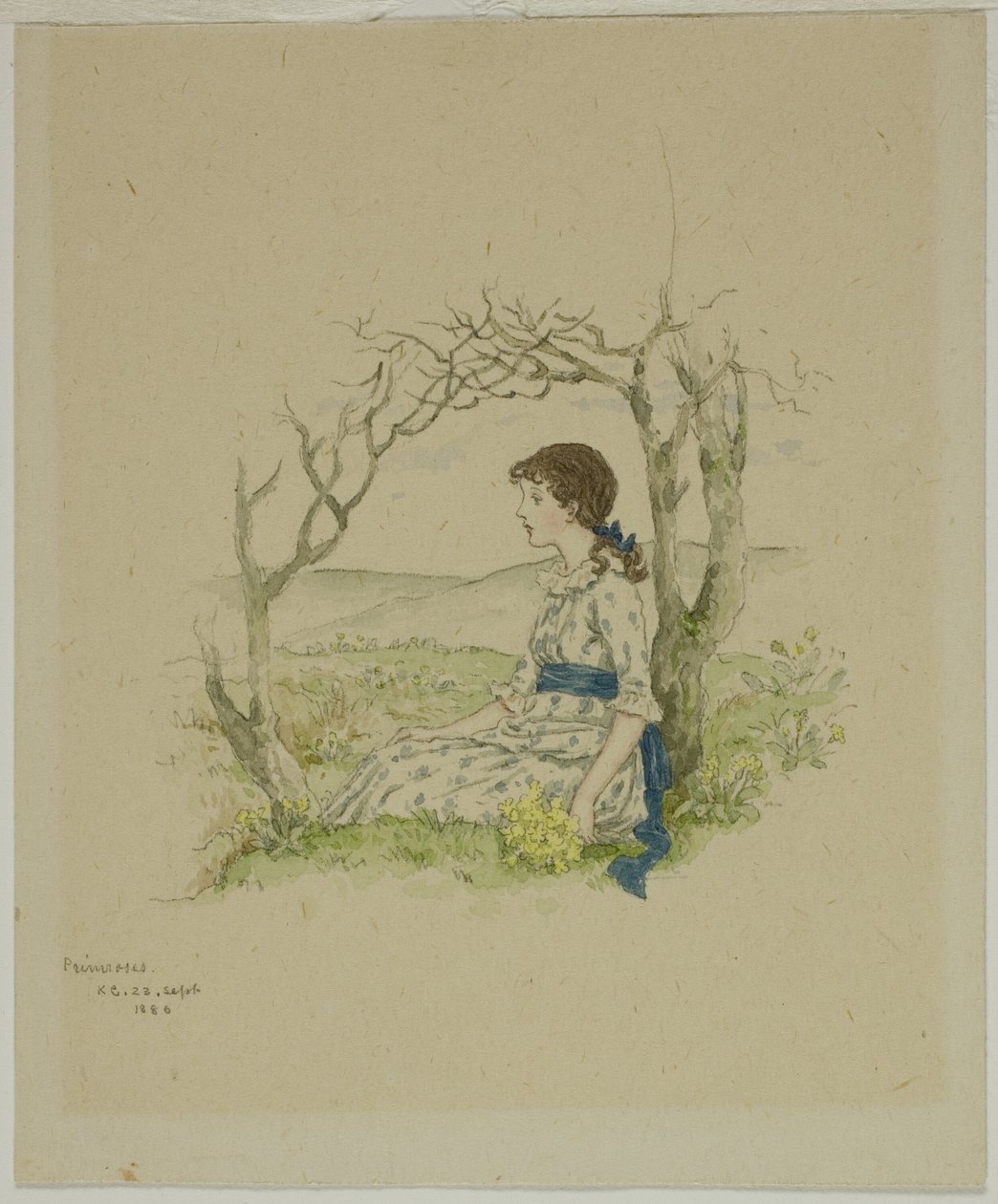 Sittende jente med primula av Kate Greenaway
