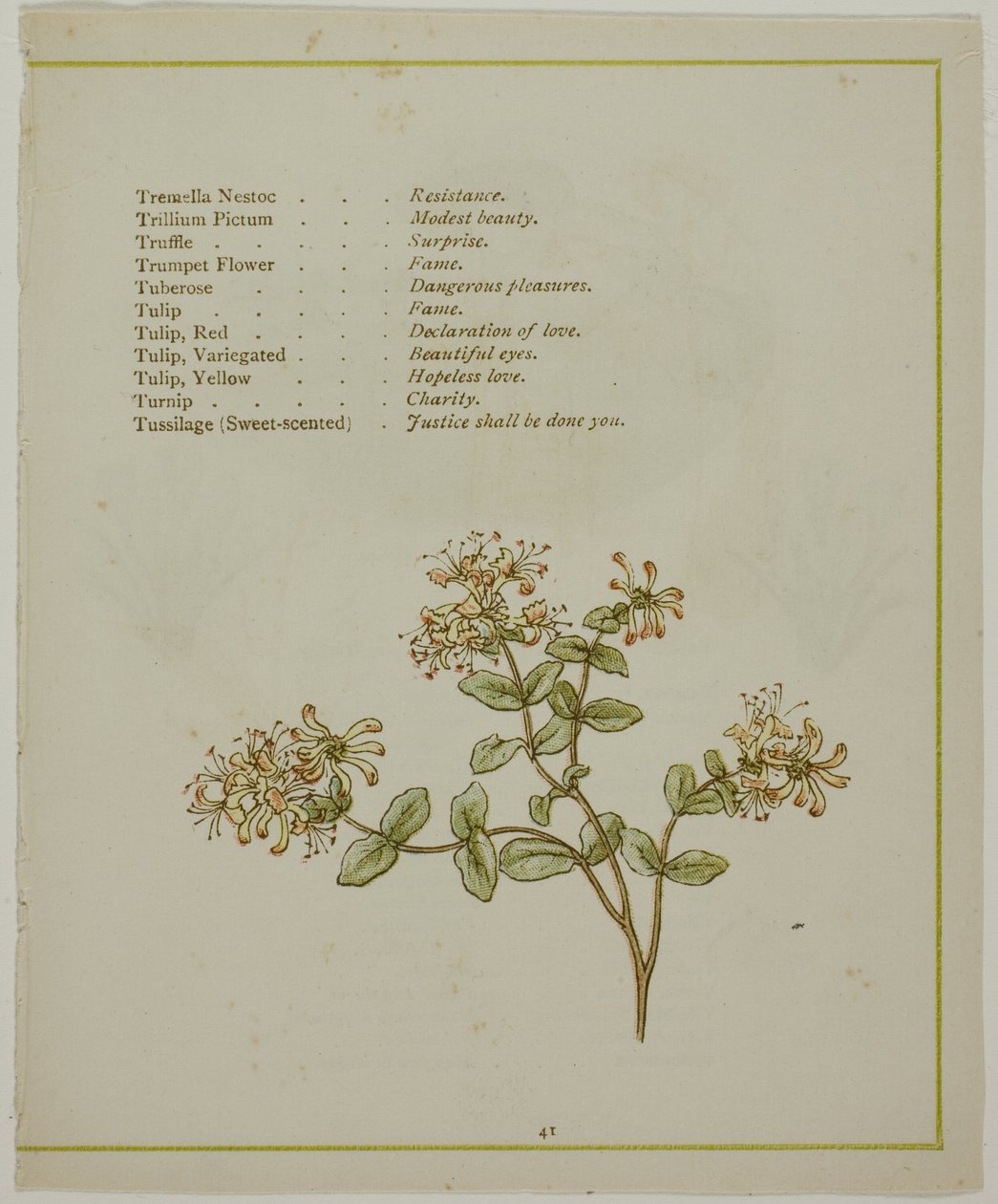Valerian Through Volkamenia, fra The Illuminated Language of Flowers av Kate Greenaway