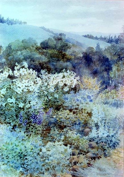I en sørafrikansk hage, ca. 1900-10 (akvarell) av Kate Haith