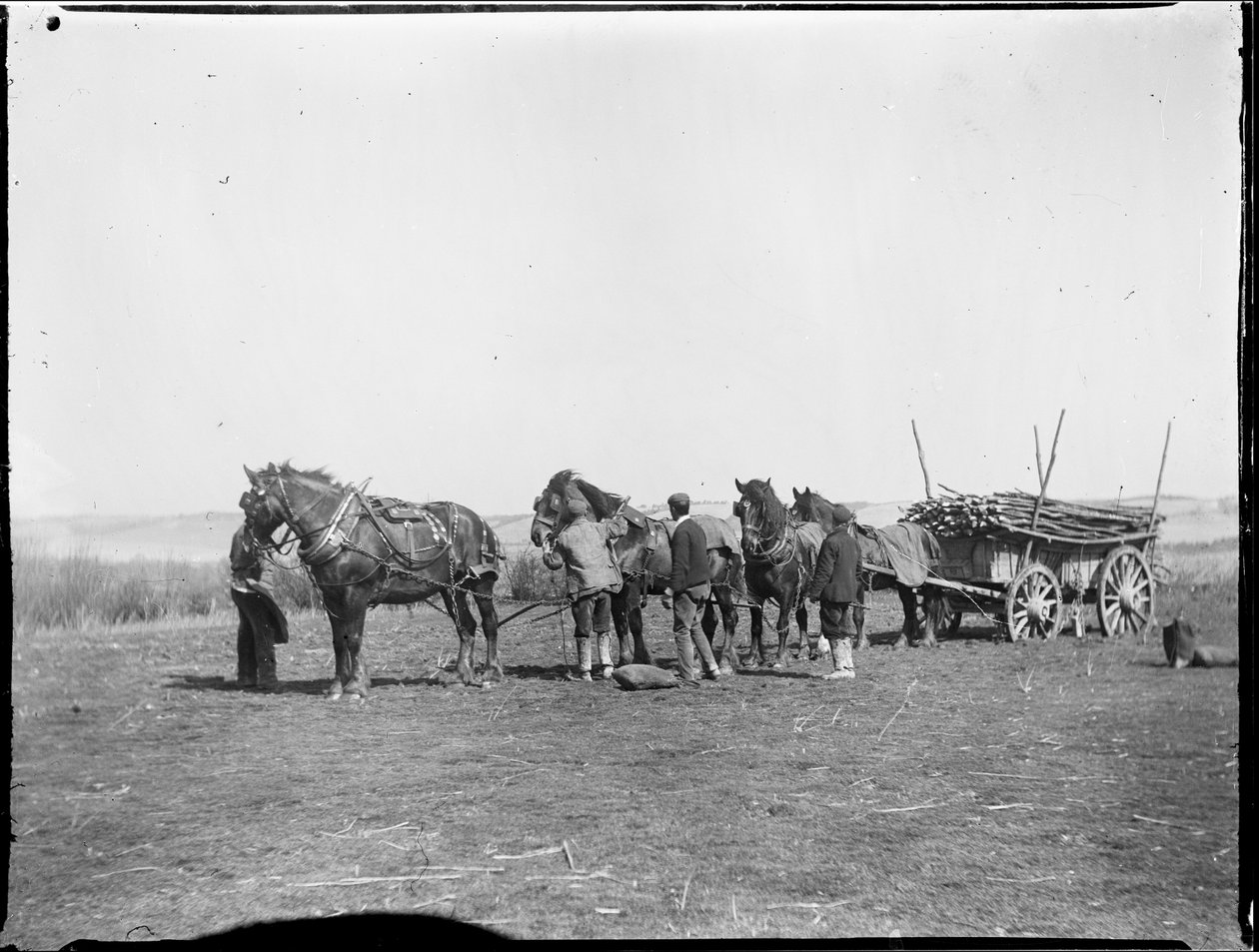 Broomfield, Broomfield And Kingswood, Maidstone, Kent, 06/04/1904 (s/hvitt-bilde) av Katherine Jean Macfee