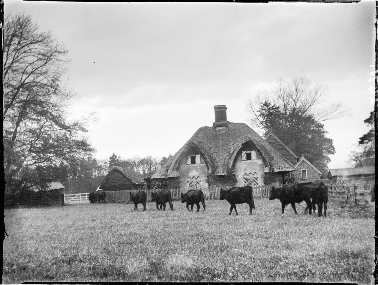 Great Hampden, Great And Little Hampden, Wycombe, Buckinghamshire av Katherine Jean Macfee