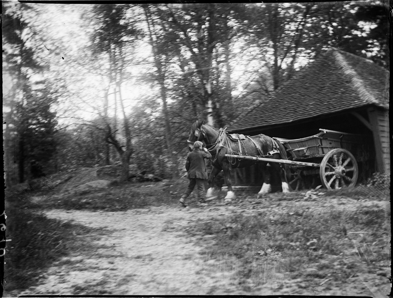 Groombridge, Speldhurst, Tunbridge Wells, Kent, 20/05/1911 (s/hvitt-bilde) av Katherine Jean Macfee