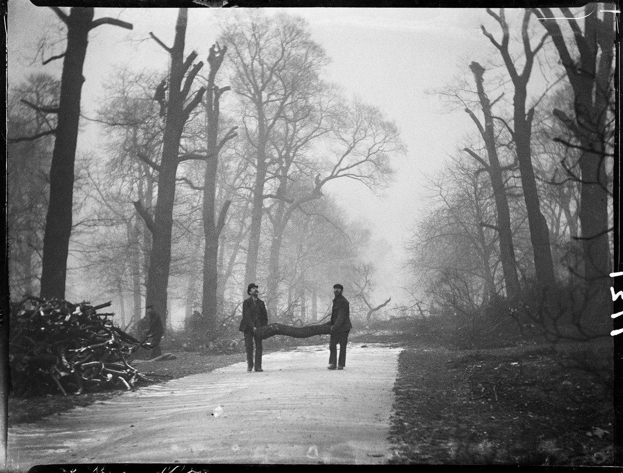 Kensington Gardens, Hyde Park, City Of Westminster, London, 26/01/1907 (s/hvitt-bilde) av Katherine Jean Macfee