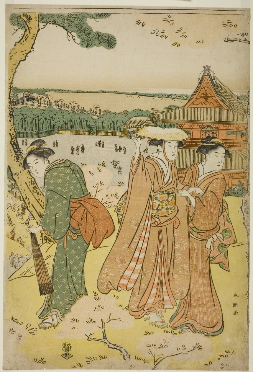 Ser på Cherry Blossoms på Ueno av Katsukawa Shuncho