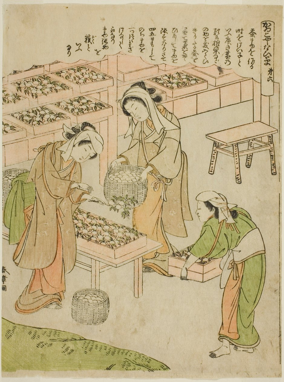 Plate 6 (Undersøkelse av de nylig spunnne kokongene), fra serien "Kaiko Yashinai-gusa" av Katsukawa Shunsho