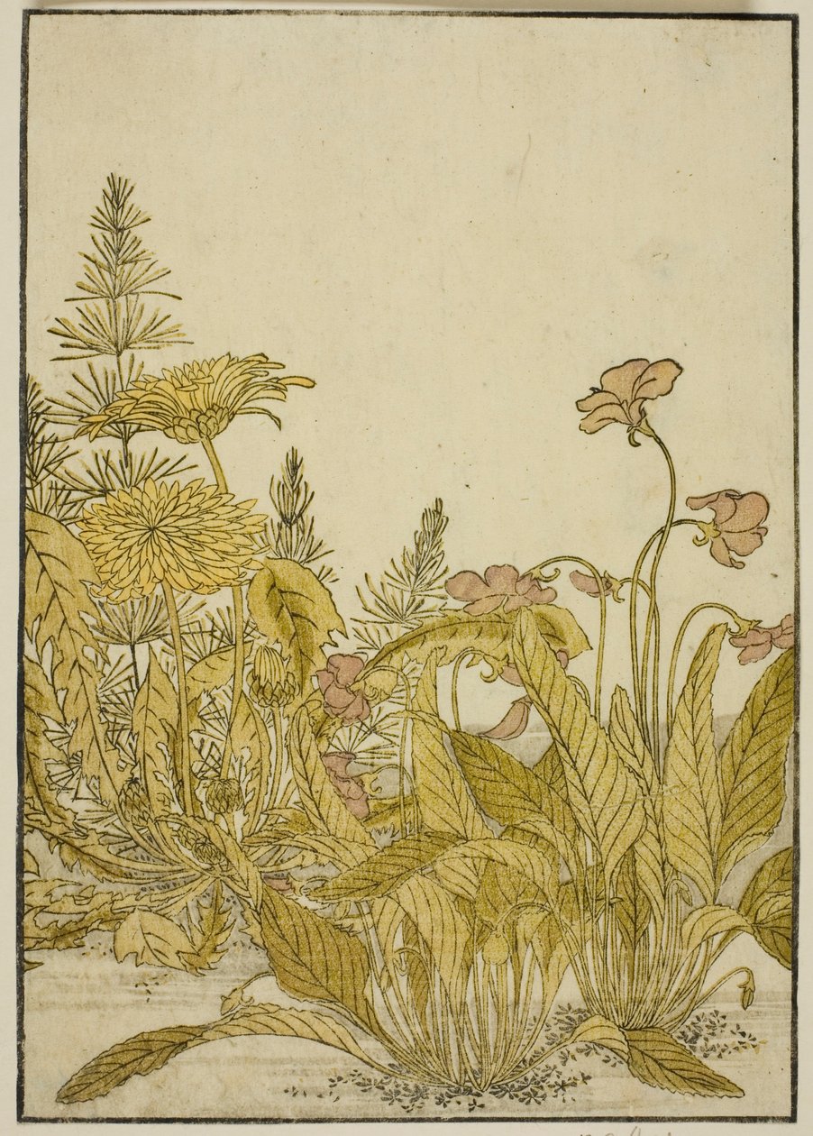 Spring Flowers: Violets and Dandelions, fra boken "Mirror of Beautiful Women of the Pleasure Quarters (Seiro bijin awase sugata kagami)," vol. 1 av Katsukawa Shunsho