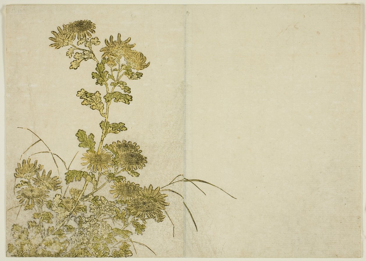 Winter Flowers: Chrysanthemums, fra boken "Mirror of Beautiful Women of the Pleasure Quarters (Seiro bijin awase sugata kagami)," vol. 1 av Katsukawa Shunsho