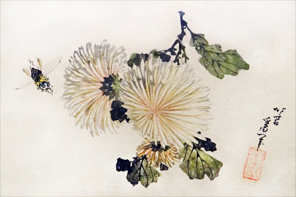 Krysantemum kunstverk av Katsushika Hokusai
