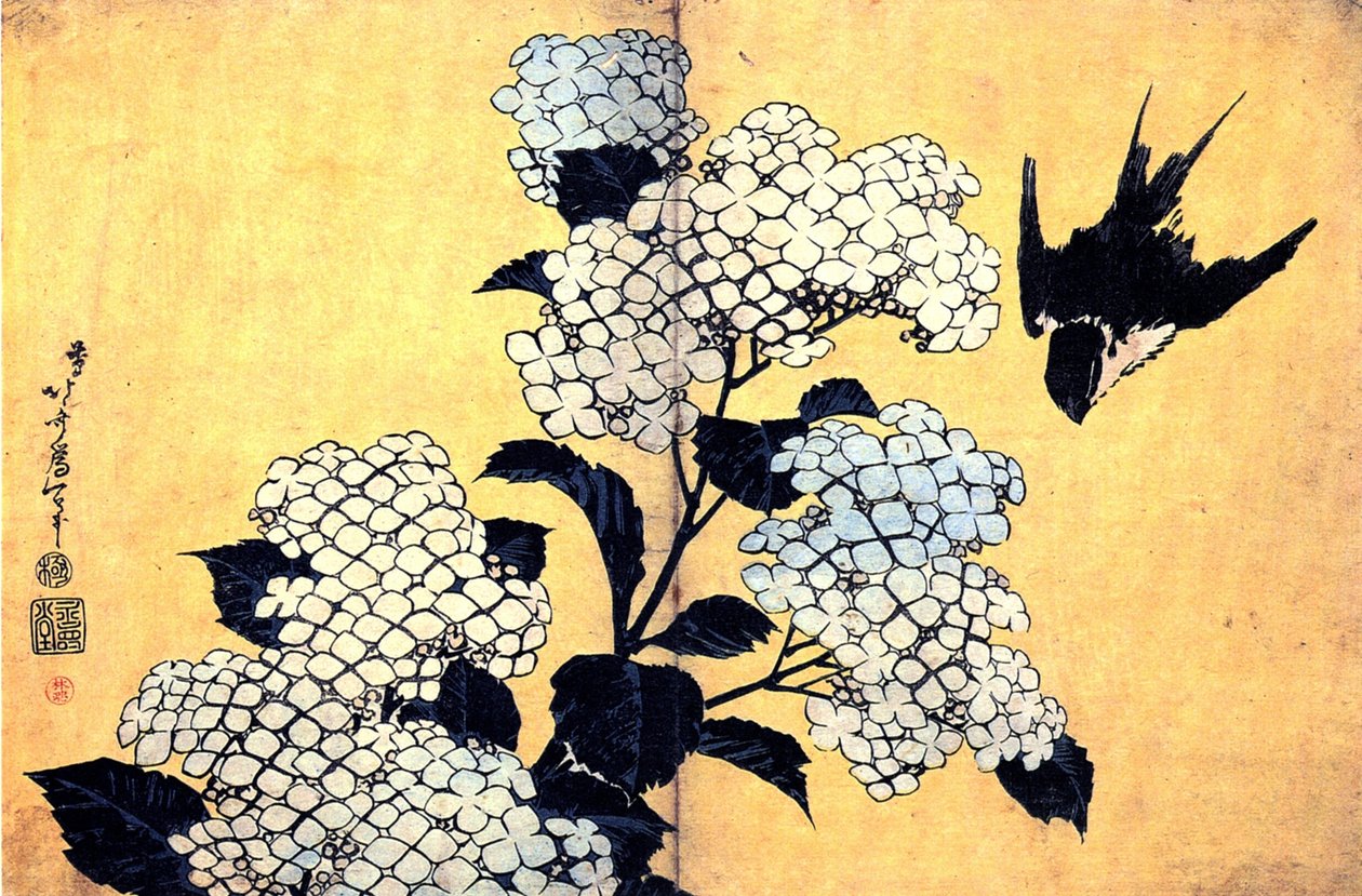 Hortensia og svelg av Katsushika Hokusai