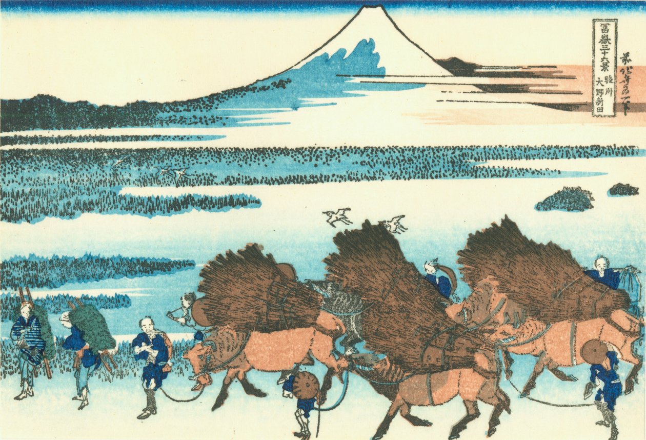 Rismarker i Ono, Suruga -provinsen av Katsushika Hokusai