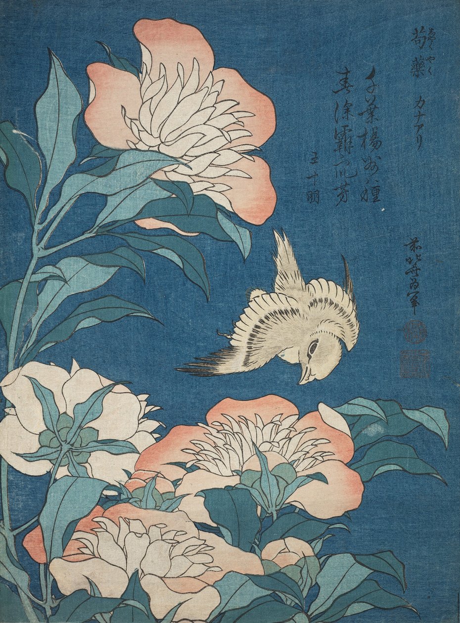 Peoner and Canary (Shakuyaku, kanaari), fra en tittelløs serie kjent som Small Flowers av Katsushika Hokusai