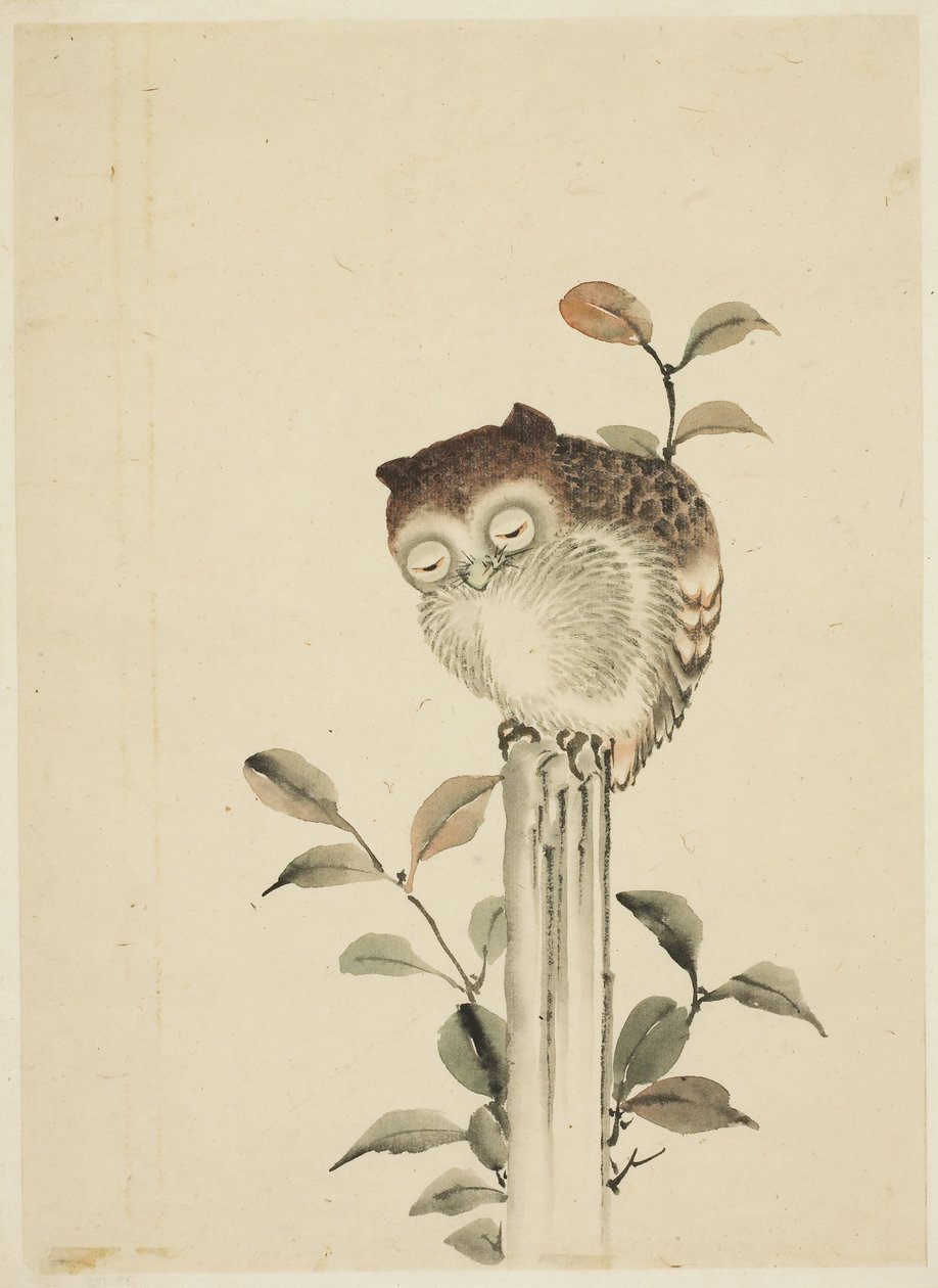Ugle sover på en stubbe av Katsushika (school of) Hokusai