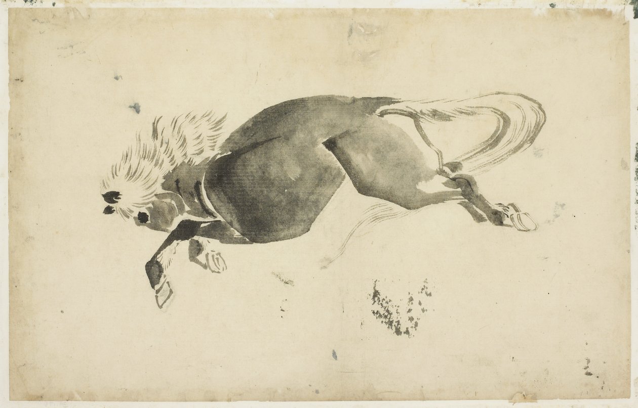Running Horse, ca. 1815-1849 (blekk på papir) av Katsushika (school of) Hokusai