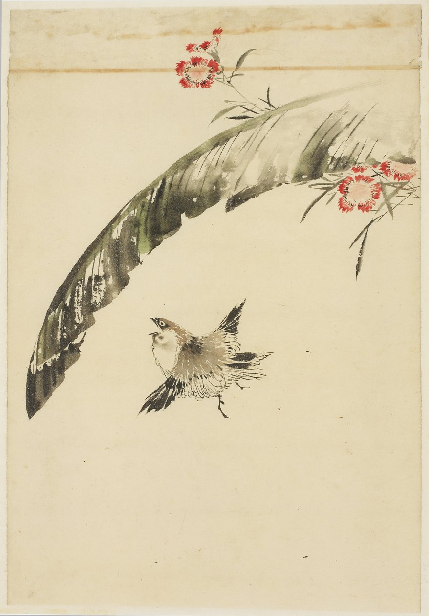 Spurv og bananblad og rosa, 1615-1868 (blekk og farge på papir) av Katsushika (school of) Hokusai