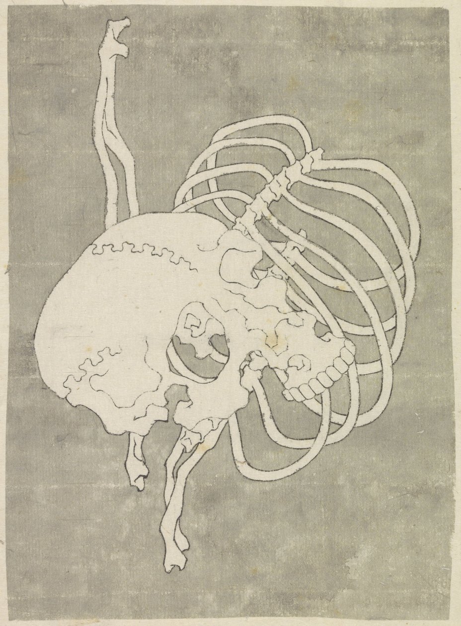 Hodeskalle og et brystkasse av Katsushika Hokusai (possibly)