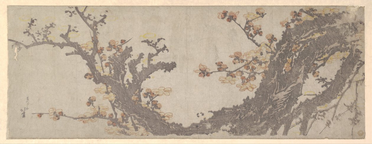 Et gammelt plommetre i blomst av Katsushika Hokusai