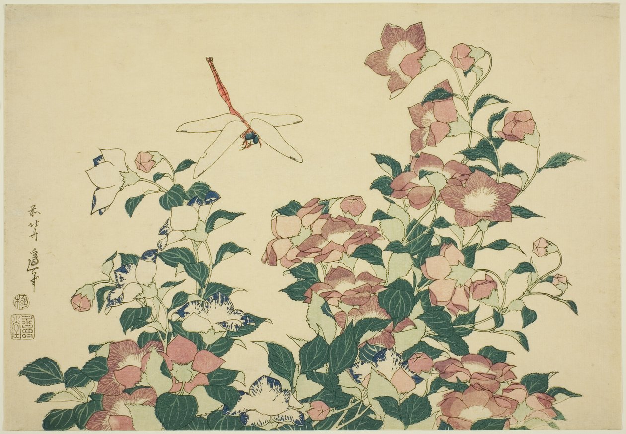 Klokkeblomst og øyenstikker, fra en serie med store blomster uten tittel av Katsushika Hokusai