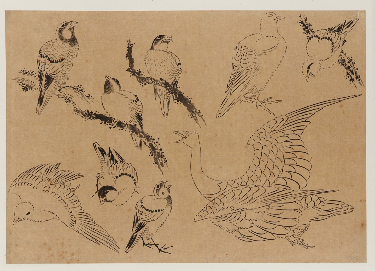 Fugler, Edo-perioden, slutten av 1700-begynnelsen av 1800-tallet. av Katsushika Hokusai