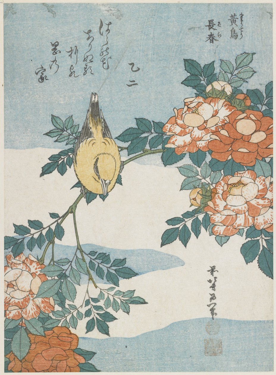 Black-Naped Oriole og China Rose, ca. 1833 av Katsushika Hokusai