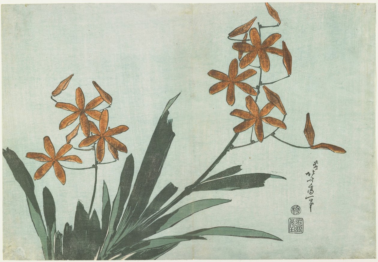 Blackberry Lilies, ca. 1832 av Katsushika Hokusai