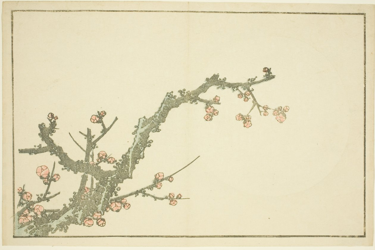 Blooming Plum Tree, fra The Picture Book of Realistic Paintings of Hokusai (Hokusai shashin gafu) av Katsushika Hokusai
