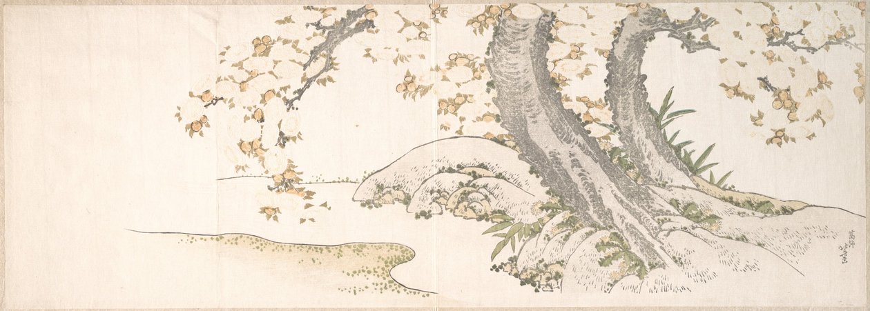 Blomstrende kirsebærtrær ved en bekk av Katsushika Hokusai