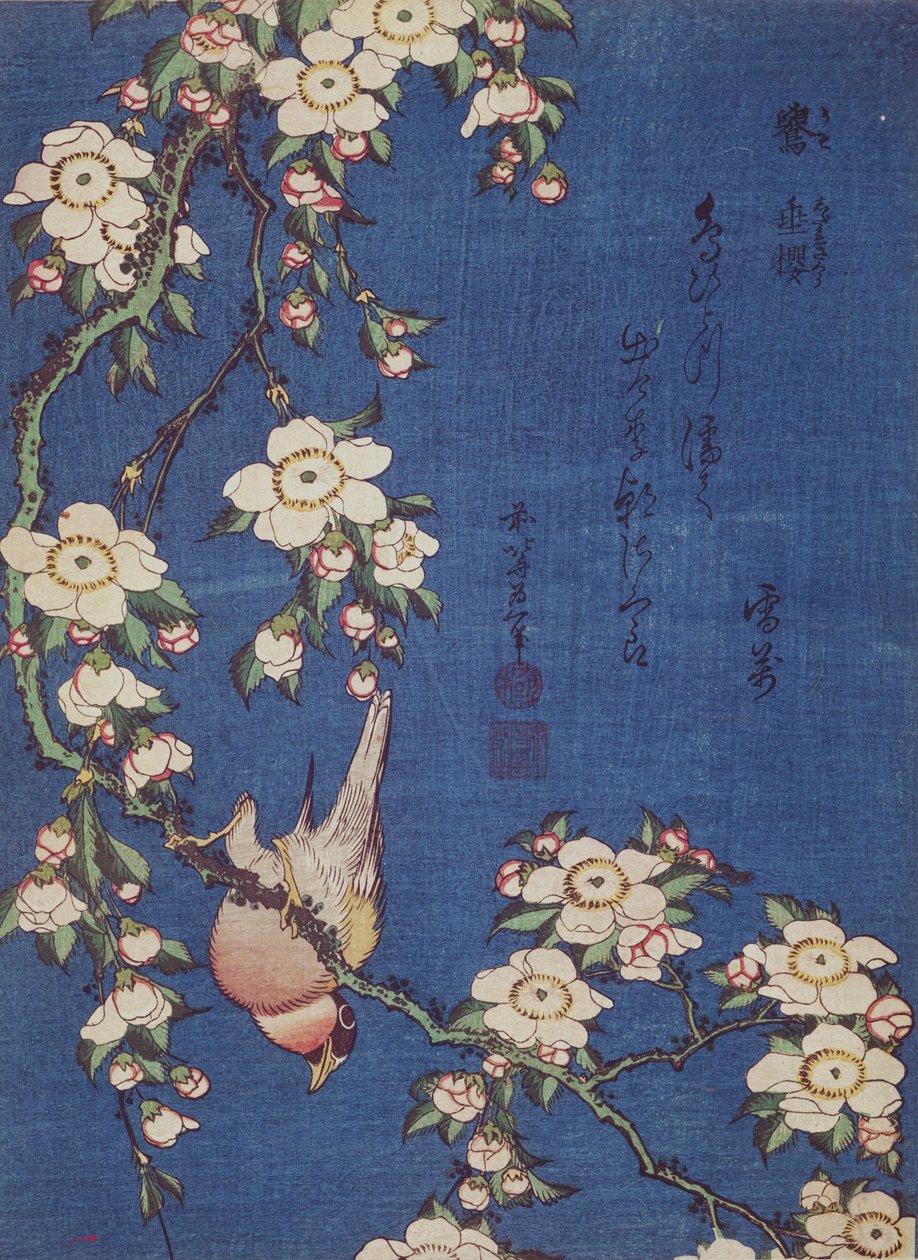 Bullfinch og gråtende kirsebærtre, pub. ca. 1834 (treblokktrykk i farger) av Katsushika Hokusai