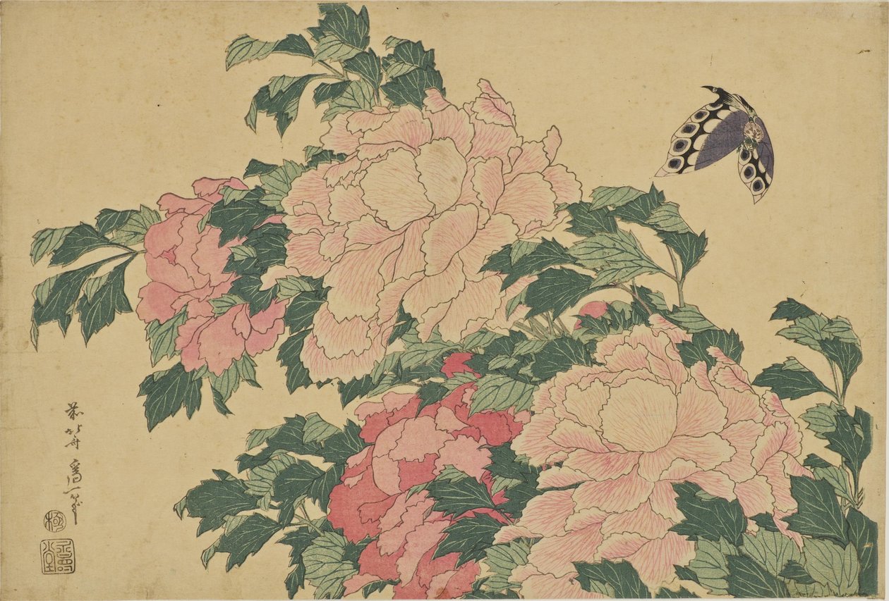 Sommerfugler og pioner av Katsushika Hokusai