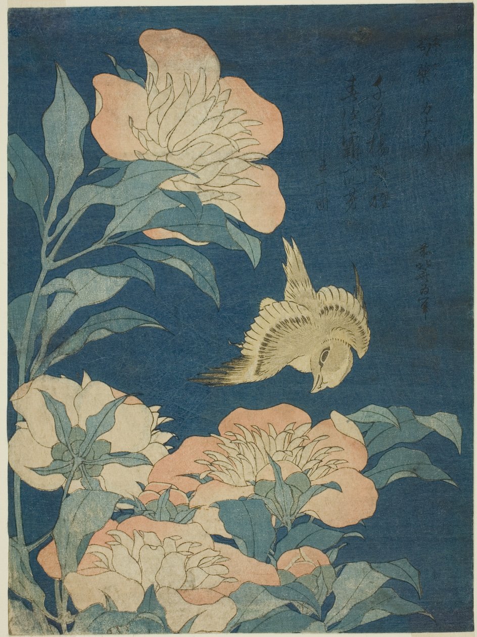 Canary and Peony (Canary, shakuyaku), fra en serie med blomster og fugler uten tittel av Katsushika Hokusai