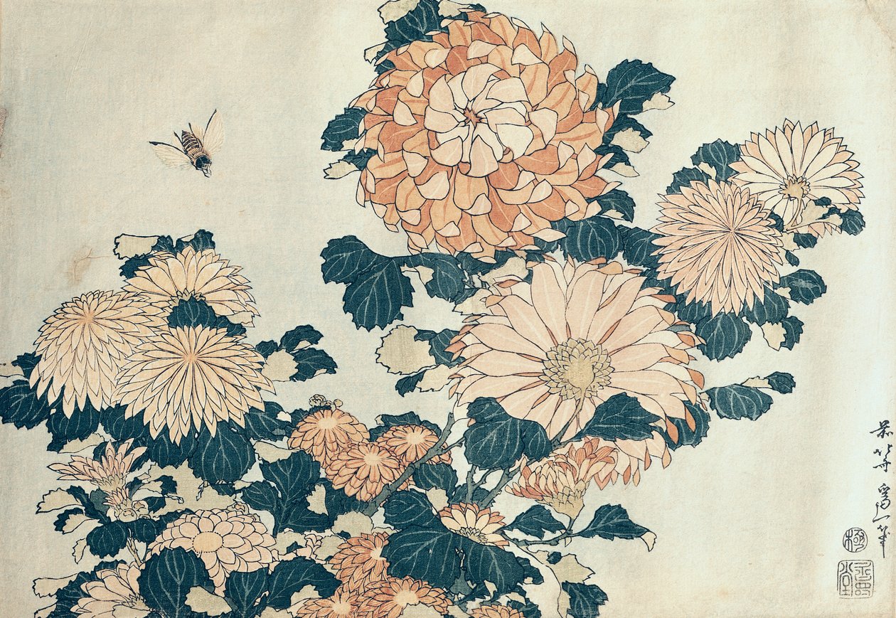 Krysantemum (farget treblokktrykk) av Katsushika Hokusai