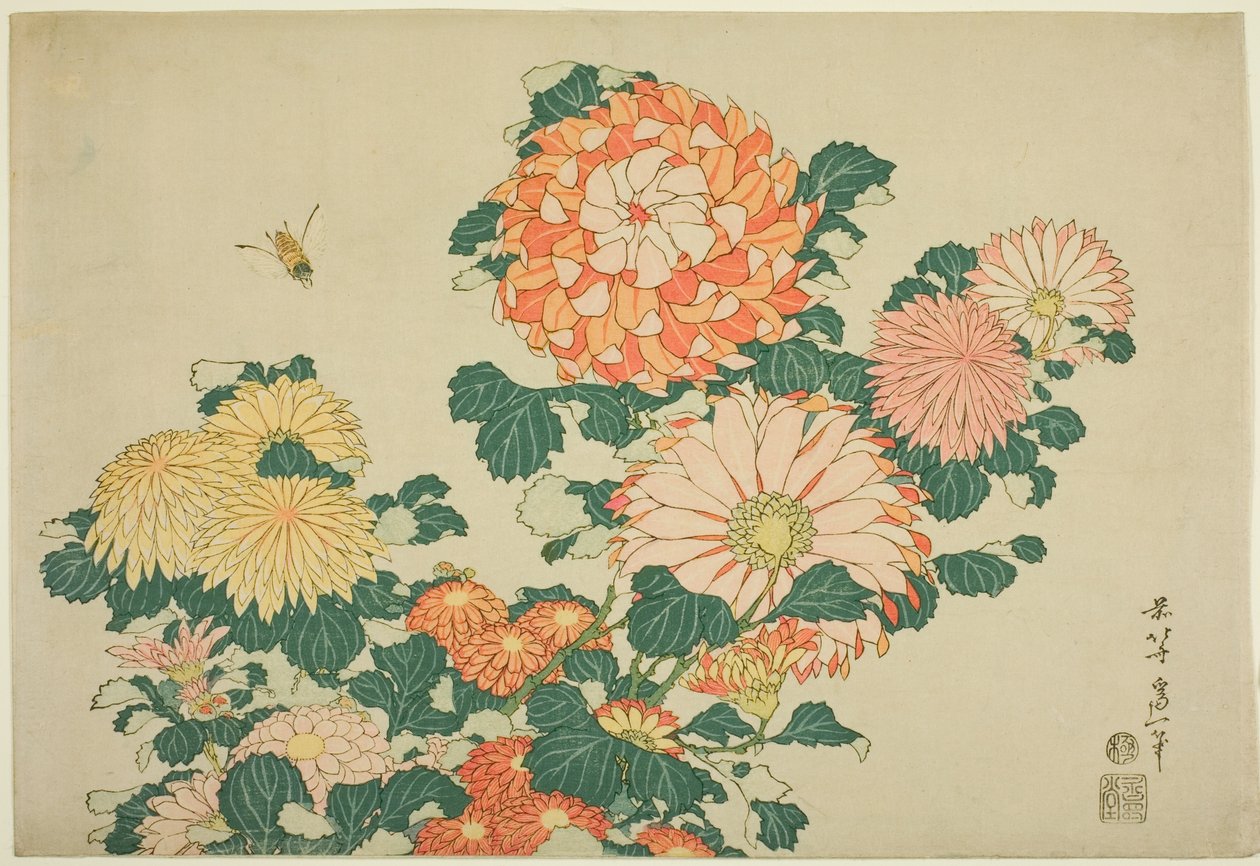 Chrysanthemums and Bee, fra en serie med store blomster uten tittel av Katsushika Hokusai