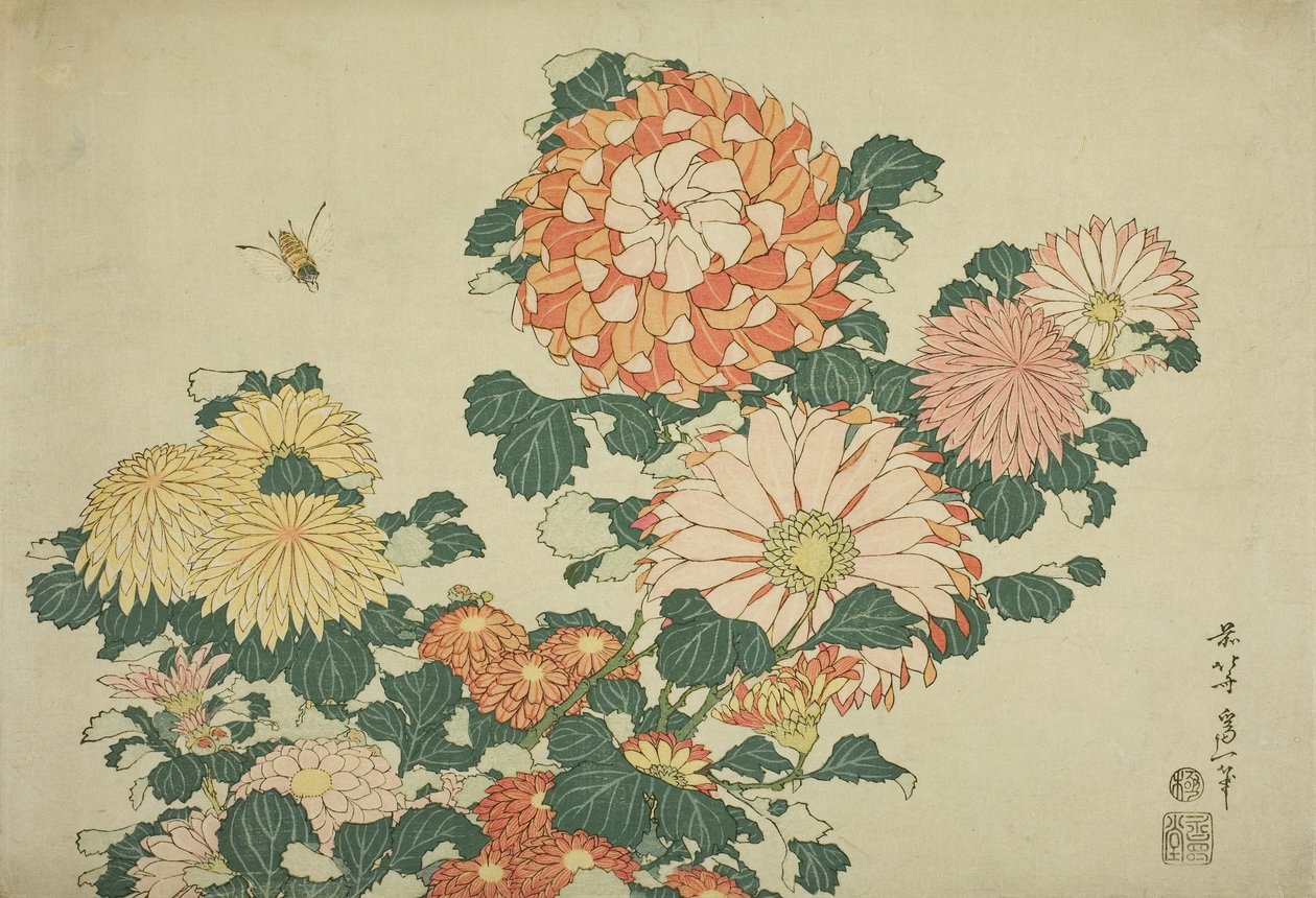 Chrysanthemums and Bee, fra en serie med store blomster uten tittel, ca. 1833-34 av Katsushika Hokusai