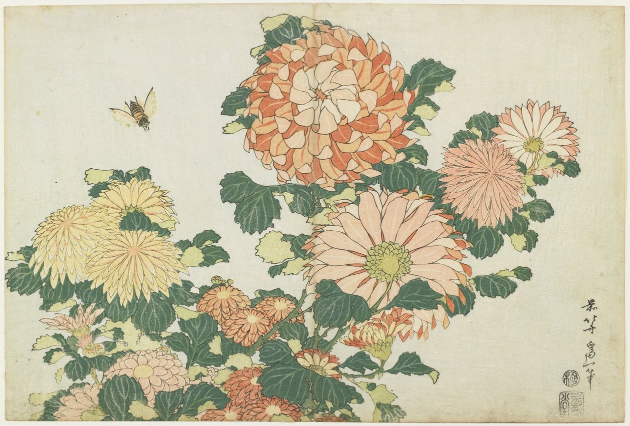 Krysantemum og hesteflue, ca. 1832 av Katsushika Hokusai