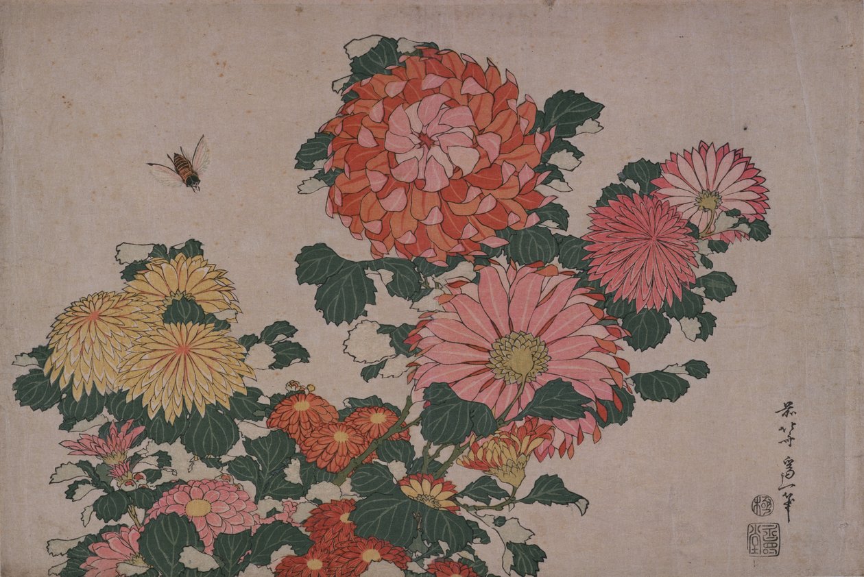 Krysantemum og hesteflue av Katsushika Hokusai