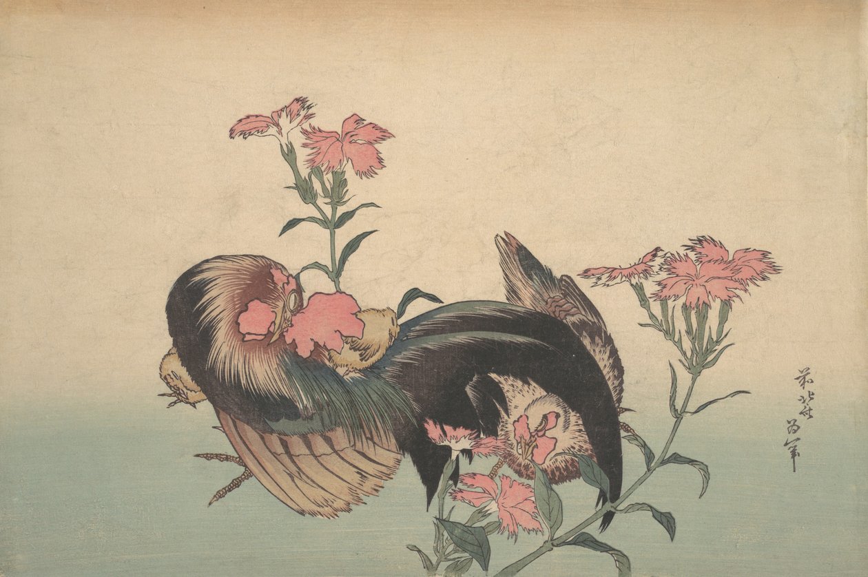 Cock, Hen og Nadeshiko Dianthus Superbus. av Katsushika Hokusai