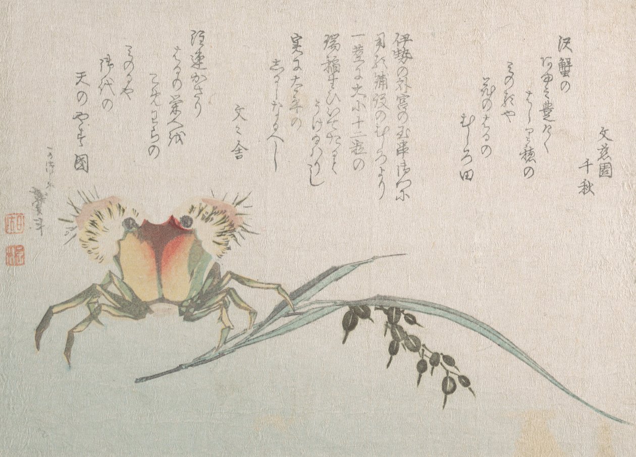 Krabbe- og risplante, 1800-tallet. av Katsushika Hokusai