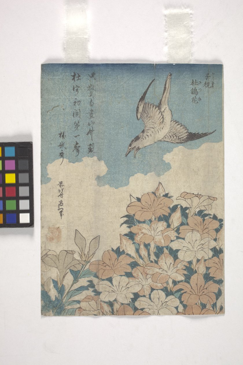 Gjøk og Azalea (fargetresnitt) av Katsushika Hokusai