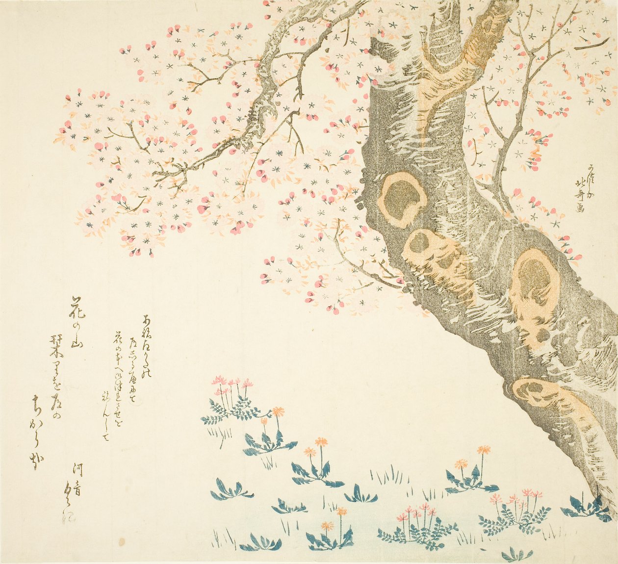 Løvetann og kløver under kirsebærtre av Katsushika Hokusai