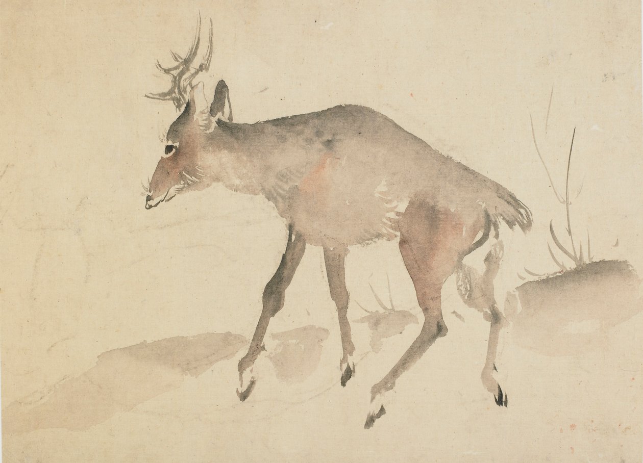 Hjort, slutten av 1700-begynnelsen av 1800-tallet. av Katsushika Hokusai
