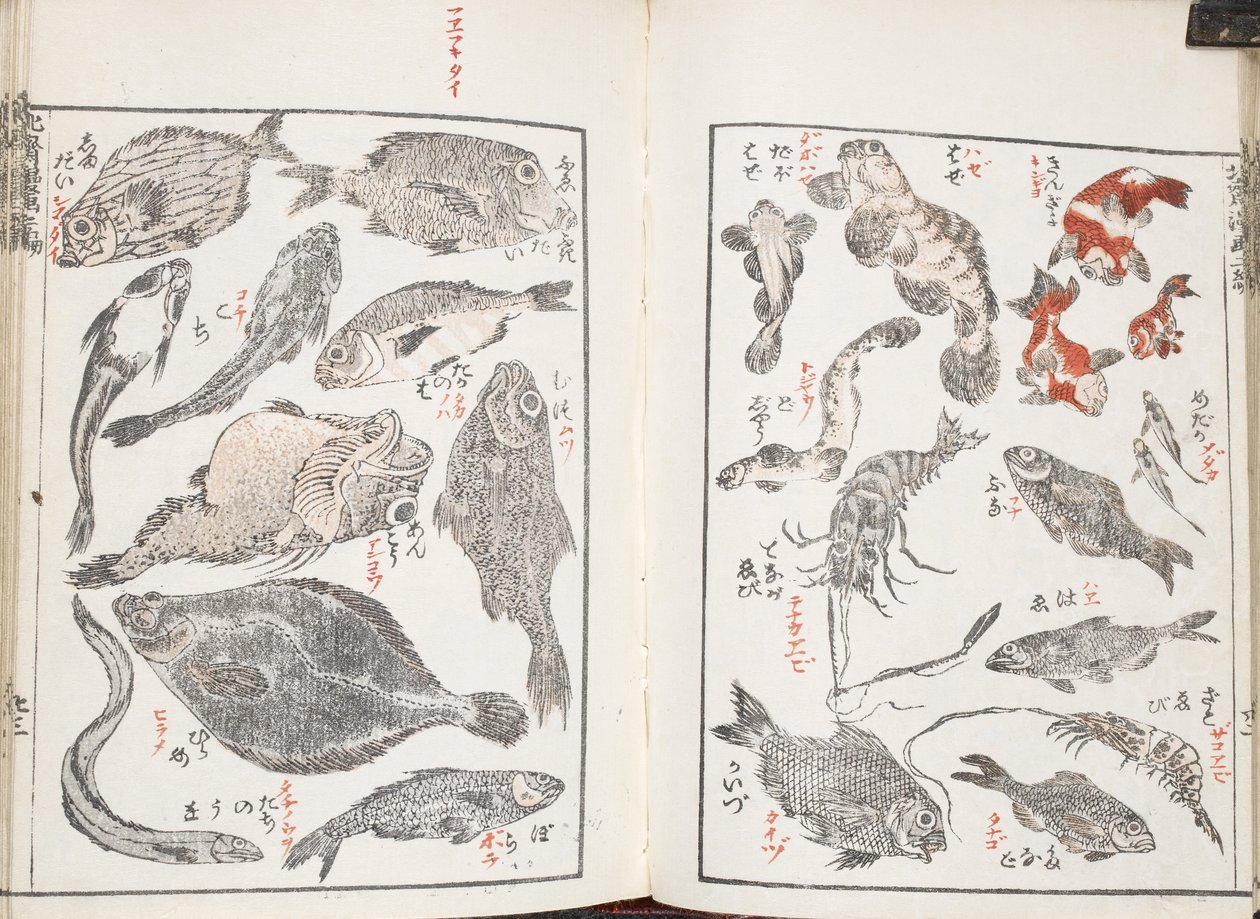 Fisk og sjødyr av Katsushika Hokusai