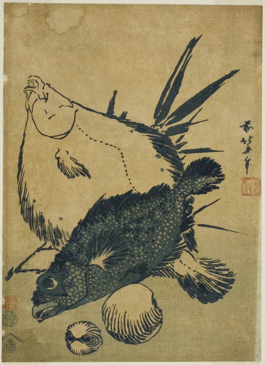 Flatfisk, skorpionfisk og skjell, fra en serie med chuban-trykk uten navn av Katsushika Hokusai