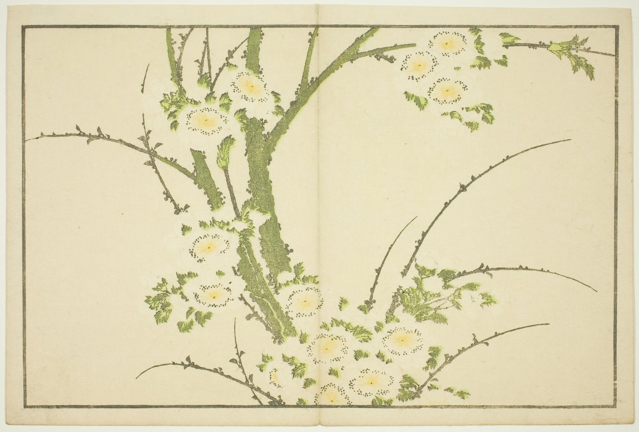 Blomster, fra The Picture Book of Realistic Paintings of Hokusai (Hokusai shashin gafu) av Katsushika Hokusai