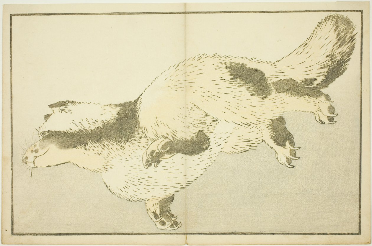 Fox, fra The Picture Book of Realistic Paintings of Hokusai (Hokusai shashin gafu) av Katsushika Hokusai