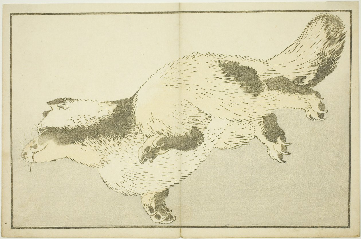 Fox, fra The Picture Book of Realistic Paintings of Hokusai (Hokusai shashin gafu) av Katsushika Hokusai