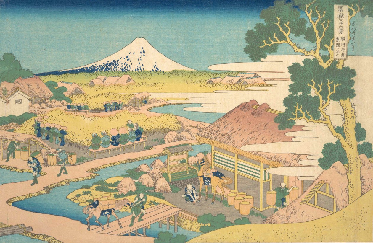 Fuji fra Katakura Thea Fields er medlem av Katakura Tea Plantation Fuji, fra t. . . , mygg. 1830-32. av Katsushika Hokusai