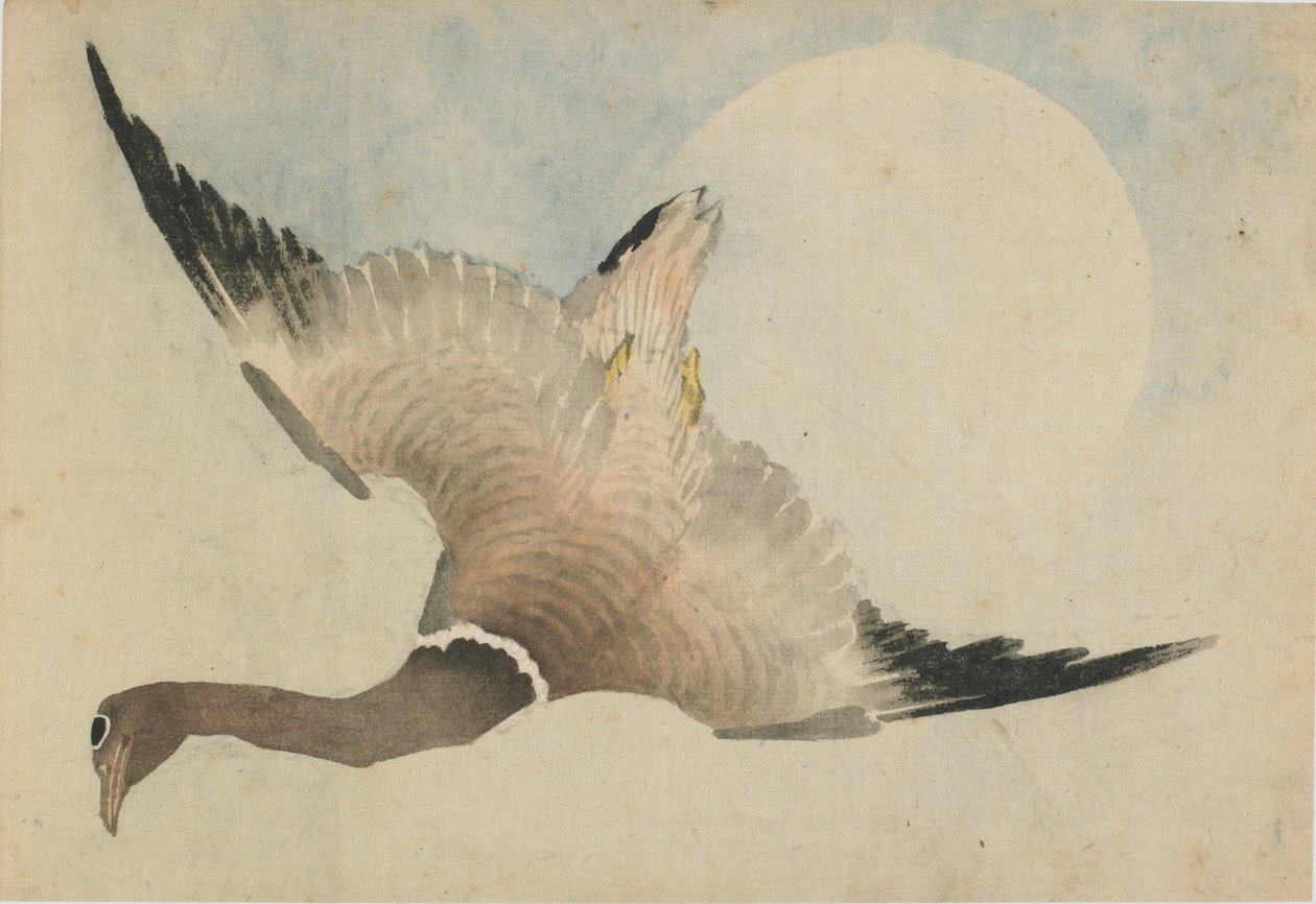 Gås som flyr foran månen, slutten av 1700-begynnelsen av 1800-tallet. av Katsushika Hokusai