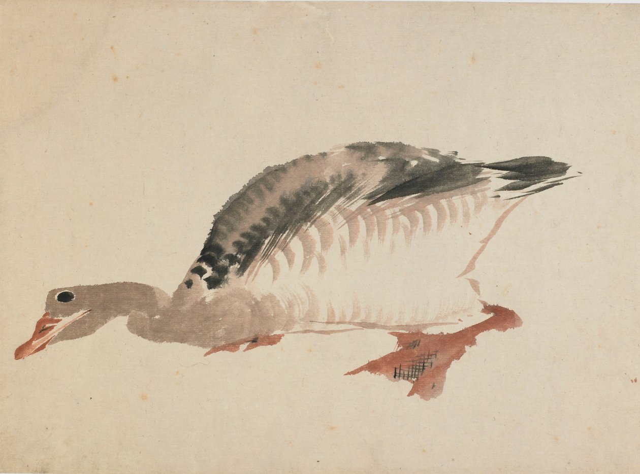 Gås, slutten av 1700-begynnelsen av 1800-tallet. av Katsushika Hokusai