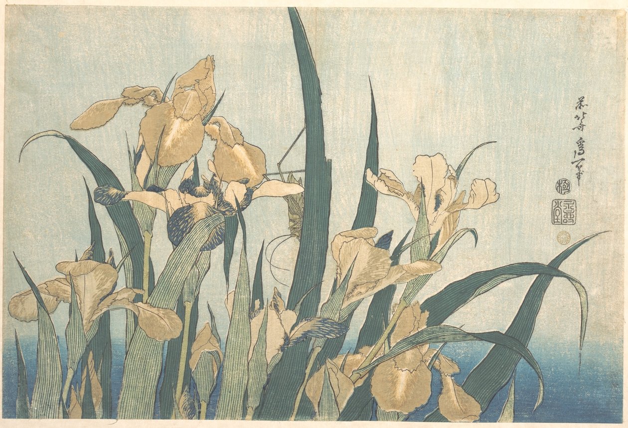 Gresshoppe og iris av Katsushika Hokusai